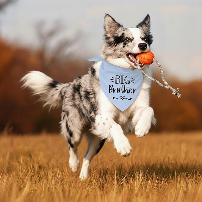 Big Brother Dog Bandanas, Pet Dog Triangle Scarf for Small Medium Large Pet, Baby Announcement Dogs Bandana Pets Scarf (Big Brother)