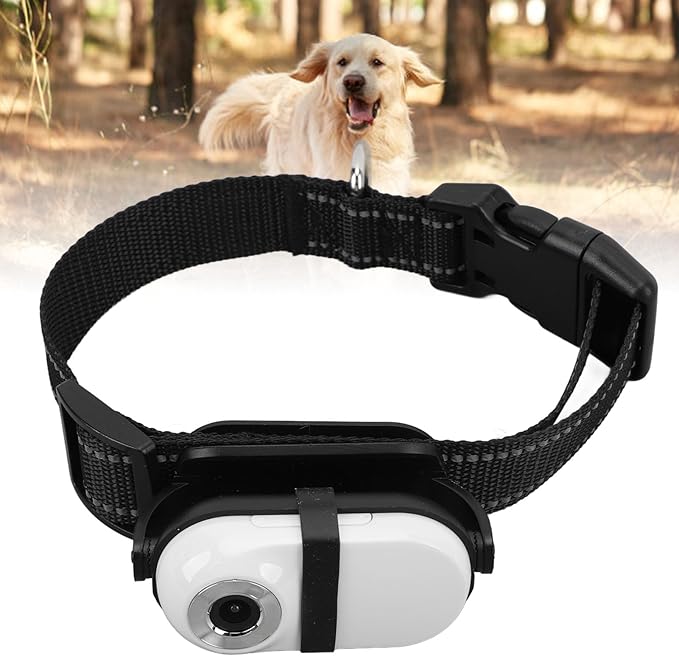 Cat Camera Collar, Pet Collar Camera with Memory Card, HD 1080P Wire Less Dog Tracker Camera Adjustable Mini Action Camera for Video Records (64GB)