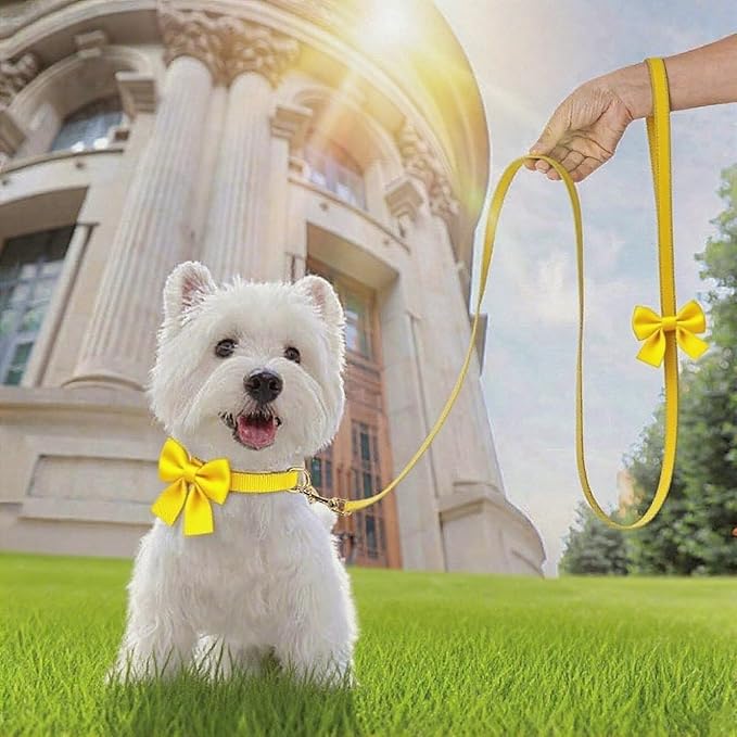 Dog Collar and Leash Set with Bowtie, Girl Dog Collars Metal Buckle Adjustable for Small Medium Dogs (Yellow, M: Neck 13"-22" Leash 5 FT)