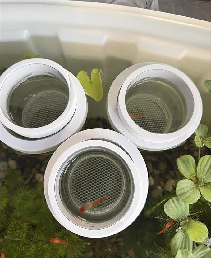 Guppy Breeder Box Breeder Box for Fish Tank,Aquarium Fish Breeding Box, Floating Mesh Isolation Hatchery,Hatchery Incubator Isolation Box for Shrimp Clownfish(Large)