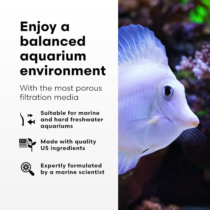 Brightwell Aquatics