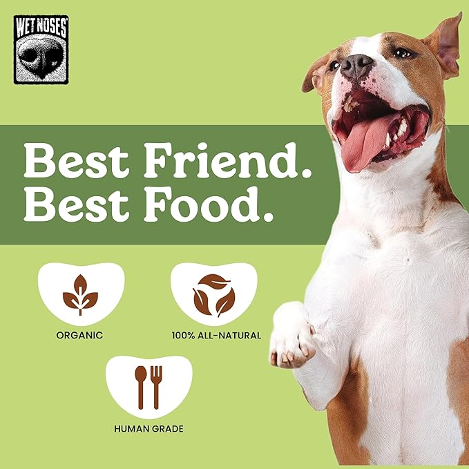 Wet Noses Organic Crunchy Dog Treats Grain Free – All-Natural, Human-Grade, Non-GMO, Healthy Training & Delicious Snacks for Dogs, for All Dog Sizes & Breeds – Apple Ginger, 14oz (2 Pack)