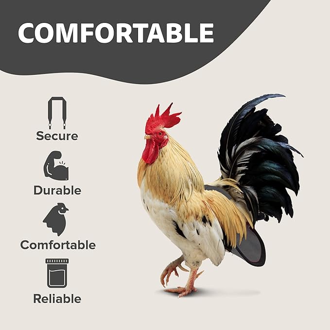 Hen Holster Wrap-Around Bird Diaper & Harness for Hens, Roosters, Ducks, Geese - with Removable Vinyl Liner, Adjustable Fit for Outdoor Adventures & Indoor Use - Easy to wear - XL, Gray