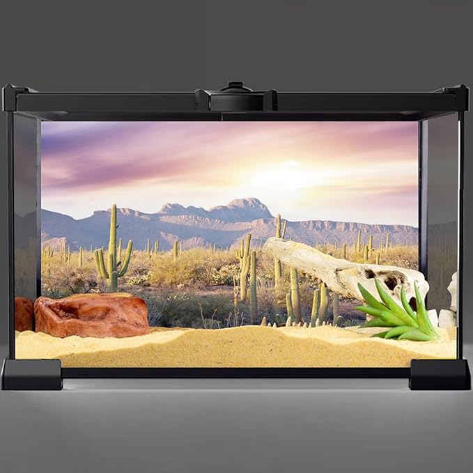 AWERT Reptile Habitat Background Blue Sky Oasis Mountain Cactus Sun and Desert Terrarium Background 72x24 inches
