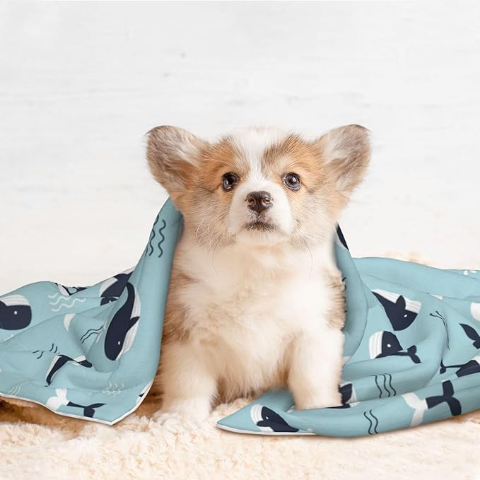 Reversible Plush Throw for Dogs and Cats, Whale in Ocean Pattern, Double Sided Blanket with Nubby Dot Side and Sleek Side Ideal for Cuddling Nesting Security