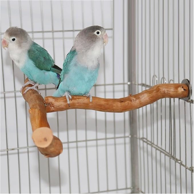 Asixxsix Wood Bird Perch, T Shaped Birdcage Stand Wooden Parrot Perch Stand Perch for Bird Cage Grinding Bird Perch Branches, T Perch Bird Accessory, Easy to Install