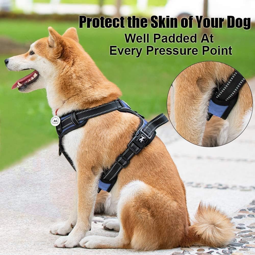 PoyPet No Pull Dog Harness, Reflective Comfortable Vest Harness with Front & Back 2 Leash Attachments and Easy Control Handle Adjustable Soft Padded Pet Vest for Small to Large Dogs (Light Blue,S)