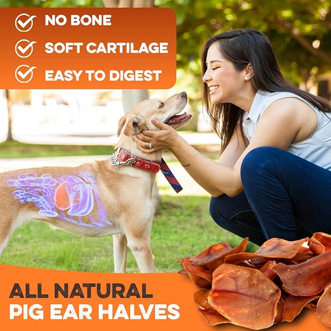 BRUTUS & BARNABY Whole Pig Ears for Dogs, 25 Ct. – All-Natural Single Ingredient Dog Chews, Slow Cooked & Fully Digestible Rawhide Alternative