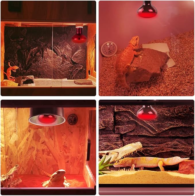 LUCKY HERP Infrared Heat Lamp 100W 2 Pack，Reptile & Amphibian Basking Spot Light Bulbs, Red Heat Lamp Bulbs for Reptiles, Bearded Dragon, Turtle, Lizard, Snake, Chicken