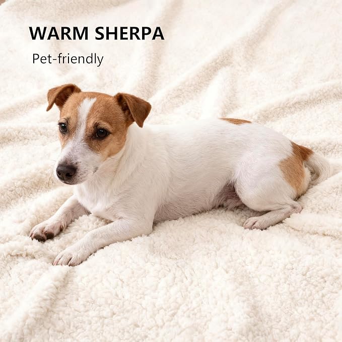 Waterproof Blanket for Bed, Leak Proof Dog Couch Sherpa Throw Blankets Queen Size, Reversible Pet Sofa Furniture Protector Machine Washable-86 x90,Darkgrey