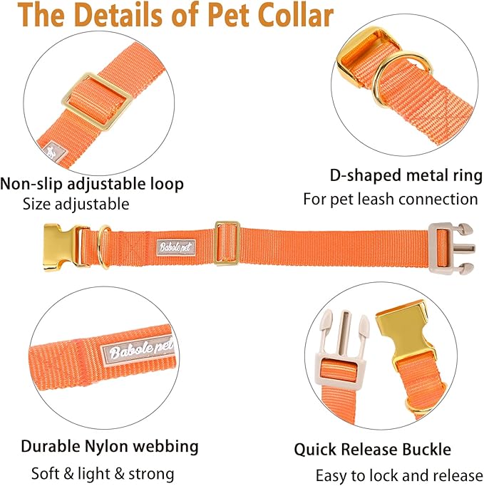 Nylon Dog Collar - Adjustable Orange Soft Webbing Dog Collars for Small Medium Large Dogs Boy Girl Puppy Collar with Safety Metal Buckle XS