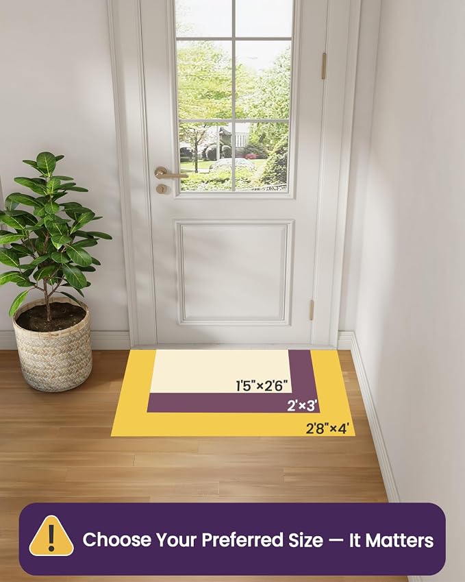 DEXI Ultra Thin Entryway Indoor Door Mat 24x36, Non Slip Rubber Backing Inside