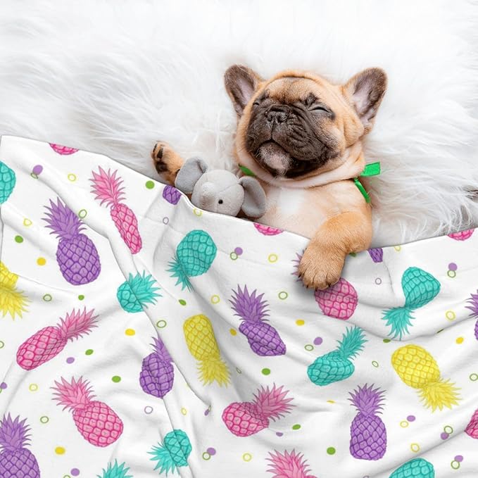 Two Sided Plush Pet Blanket for Crates Carriers Home Use, Colorful Tropical Summer Pineapple Print, Reversible Throw with Cozy Dot Fabric and Silky Reverse for Small Large Pets