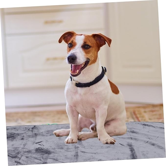 Hemoton Pet Blanket for Large Dogs Warm Cozy Reusable Sofa Bed Car Dog Throw Blanket