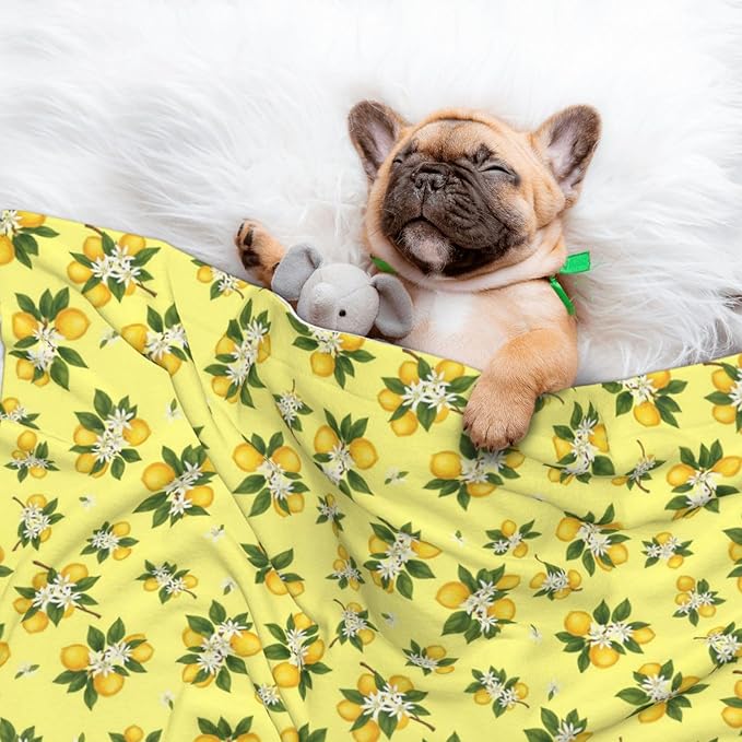 Pet Blanket for Indoor Outdoor Use, Buds Ripe Fruits Lemons Flowers White, Two Sided Reversible Plush Mat with Bumpy Dot Texture for Patios Crates Portable Bed Companion