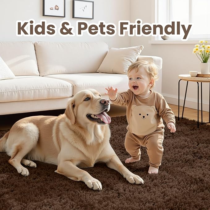 6x9 Area Rugs for Living Room Rug: Soft Fluffy Shag Brown Rugs for Bedroom