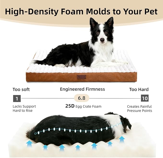 Orthopedic Dog Bed with Firm High-Density Egg Crate Foam Mattress,Soft Short Plush Surface Pet Beds,Machine Washable with Removable Cover & Non-Slip Bottom for Small Breeds(Brown, 23"L x 17"W x 3"H)