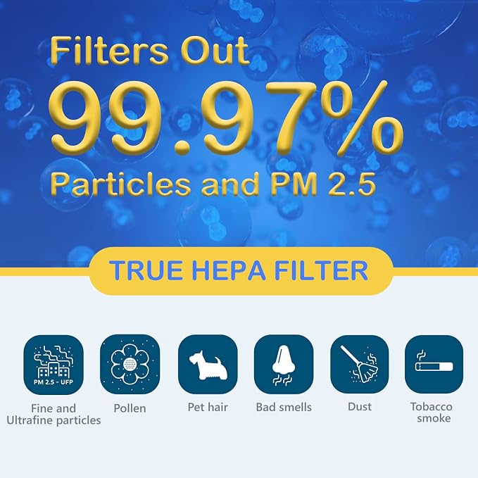 3 Pack True HEPA/Carbon Filters Replacement Compatible