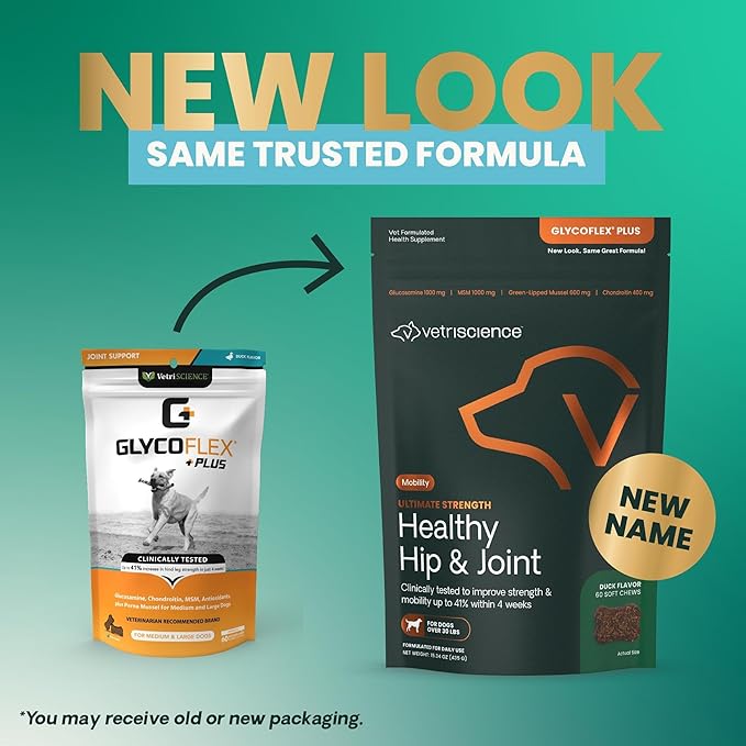 VetriScience Ultimate Strength Healthy Chews– Dog Glycoflex Plus Hip and Joint Supplement Glucosamine, MSM for Dogs & Green Lipped Mussel for Dogs, Duck, 60Count - New Look