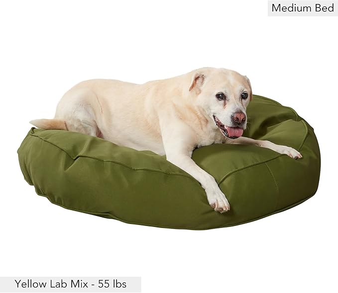 Gordie Round Indoor/Outdoor Pillow Style Dog Bed, Juniper, Medium
