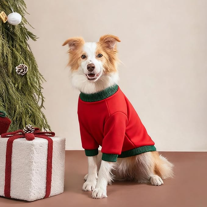 Custom Dog Hoodie, Personalized Sweatshirt with Photo Text Name Logo, Customized Hooded Sweater for Small Medium Large Dogs & Cats (Red + Green Sleeves, Large)