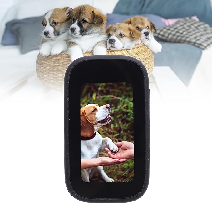 Pet Body Worn Camera, HD Resolution Wearable Body Cam for Dogs and Cats, Water Pet Action Camera with Lightweight Design for Outdoor Travel and Daily Adventures (Black)