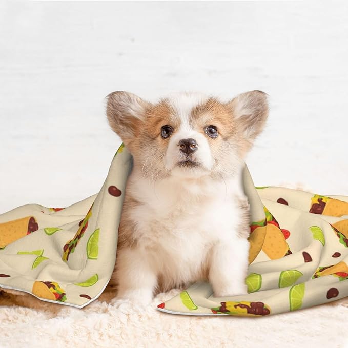 Pet Blanket for Car Rides Vet Visits, Mexican Taco, Two Sided Reversible Plush Design with Bumpy Dot Side Offers Comfort Home Piece On Go Travel