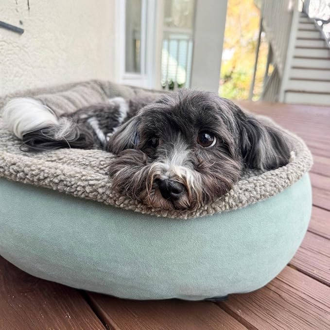 CAROLINA PET COMPANY Microfiber & Tipped Berber Comfy Cup Dog Bed - Tan, L