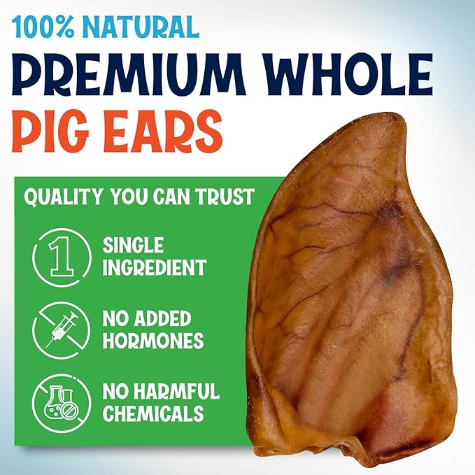 Whole Pig Ears for Dogs Large - 100 Pack Long Lasting Dog Chews - One Ingredient Delicious All Natural Flavor – Easy to Digest Dog Treat for Large Dogs - Great for Teeth and Gums