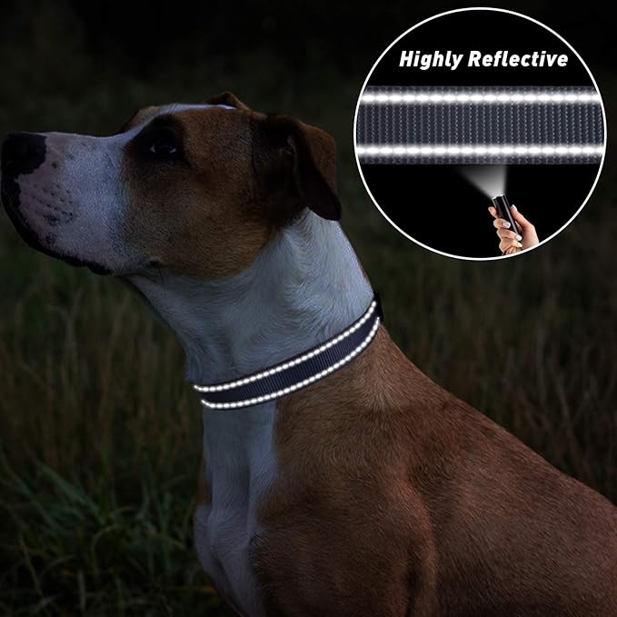 TagME Reflective Nylon Dog Collars, Adjustable Classic Pet Collar with Quick Release Buckle for Extra Large Dogs, Grey, 1¼"Width