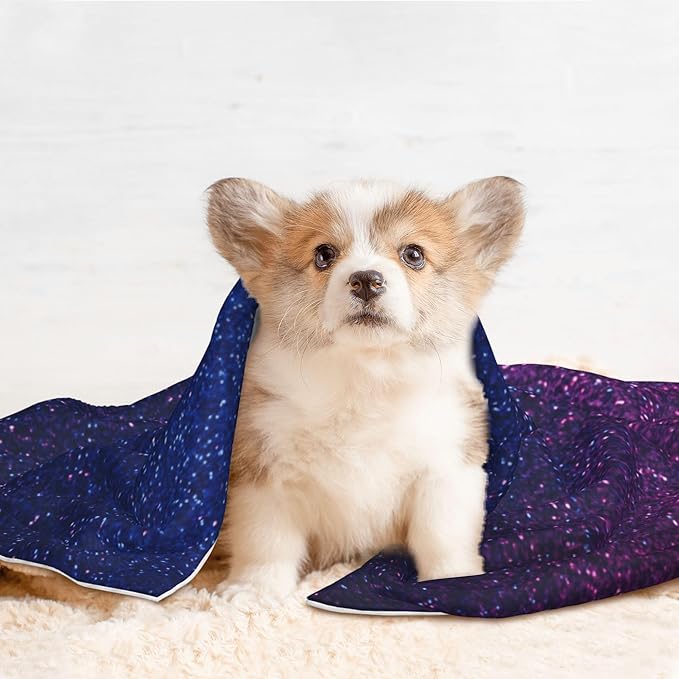 Waterproof Dog Blanket Soft Pet Blanket for Puppy Cat, Fleece Cat Throw Blankets for Furniture Bed Couch Sofa Reversible - Neon Glitter
