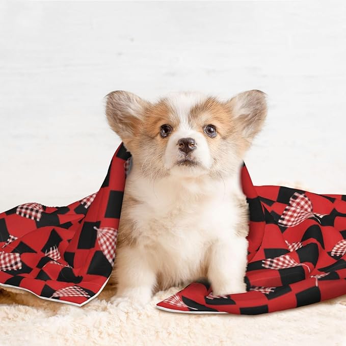 Two Sided Plush Pet Blanket for Crates Carriers Home Use, Red Black Buffalo Check Plaid Pattern, Reversible Throw with Cozy Dot Fabric and Silky Reverse for Small Large Pets