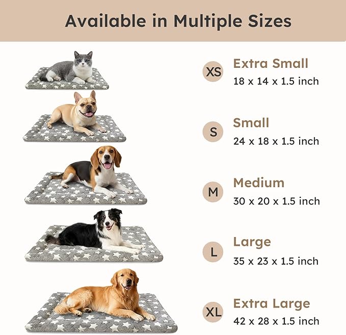 Dog Bed Mat, Dual-Sided Dog Crate Bed Mat - Ultra Soft & Machine Washable Kennel Pad for Small Dogs, All-Season Comfort Pet Bed for Crates, Travel, and Home, Star Gray, 24 x 16 Inch
