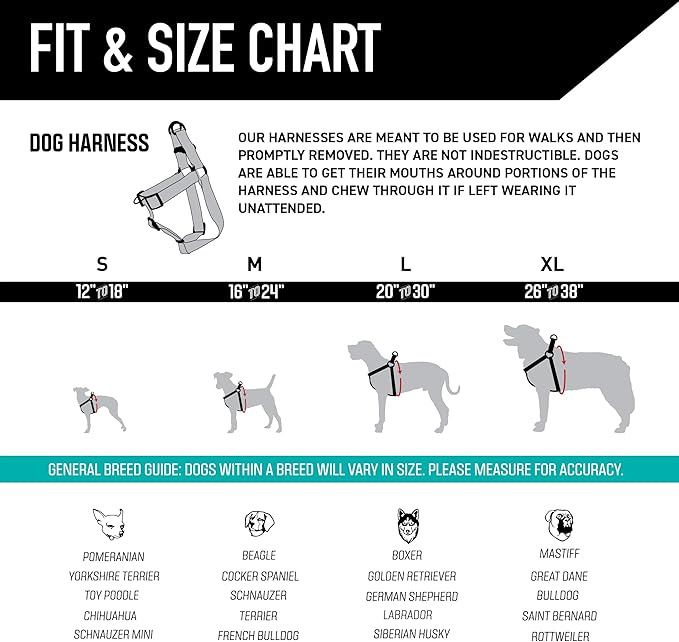 Wolfgang Heavy Duty Adjustable Dog Harness, Pull-Tested for Walking & Training, LazyDaisy Print, Large