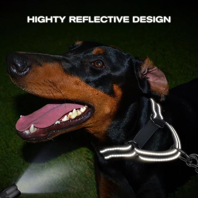 Joytale Martingale Collar for Dogs, Reflective Heavy Duty for Safety, Quick Release Buckle, Adjustable Nylon Collars for Small Dogs Walking Training, Gray,S
