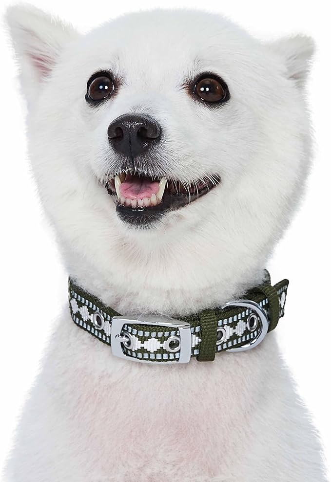 Blueberry Pet Reflective Jacquard Dog Collar with Neoprene Padding & Metal Buckle | Soft & Adjustable Safety Collar - Olive, Neck 9-12.5", for Small Breed