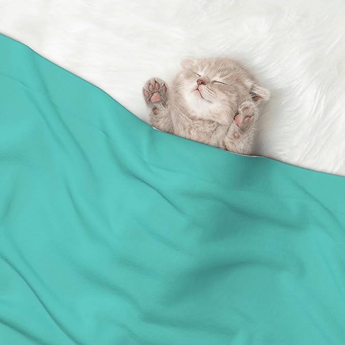 Waterproof Dog Blanket Soft Pet Blanket for Puppy Cat, Fleece Cat Throw Blankets for Furniture Bed Couch Sofa Reversible - Teal Turquoise 1
