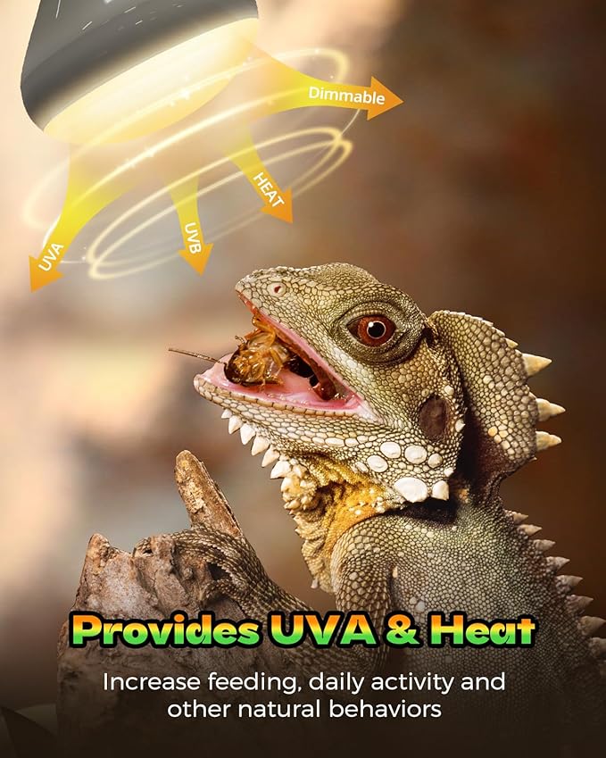 Reptile Heat Lamp, Simulate Natural Sunlight Heat Light Bulbs 2 Pack 75W Amphibians Basking Heat Lamp Bulbs for Reptiles, Bearded Dragon, Lizard, Turtle, Chicken