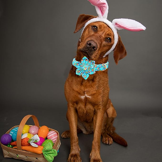 Lionheart glory Easter Day Dog Collar with Flower Dog Collar for Medium Dogs, Easter Egg Dogs Collars Colorful Spring Collars Flowers Puppy