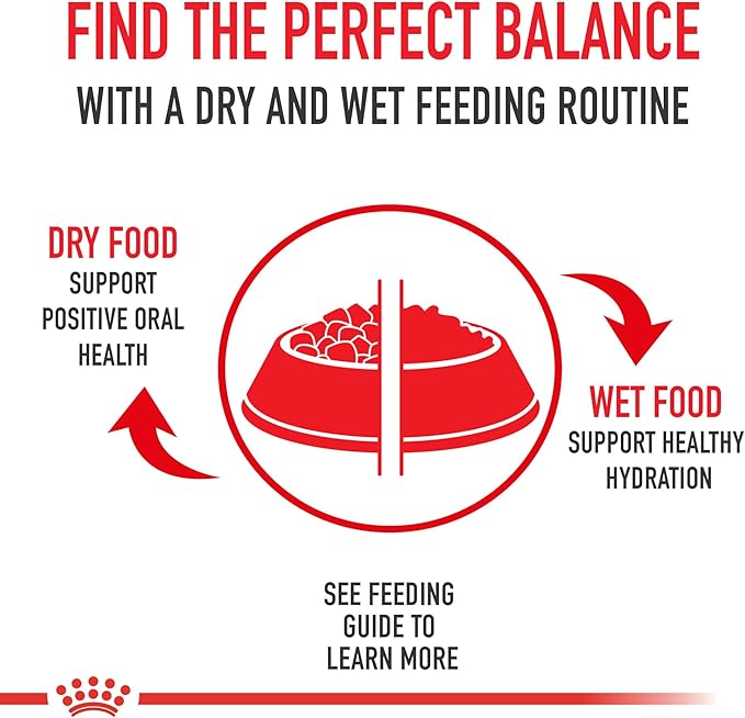 Royal Canin Feline Health Nutrition Aging 12+ Thin Slices In Gravy Canned Cat Food, 3 oz Can (24-count)