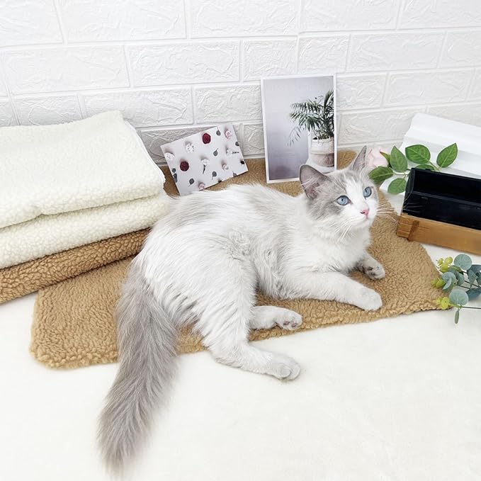 Dog Bed Pad Soft Comfortable Faux Lamb Wool Pet Sleeping Mat Durable Pet Bed Mat for Indoor Use Gift for Dogs Cats Small Medium Large Pets (White)