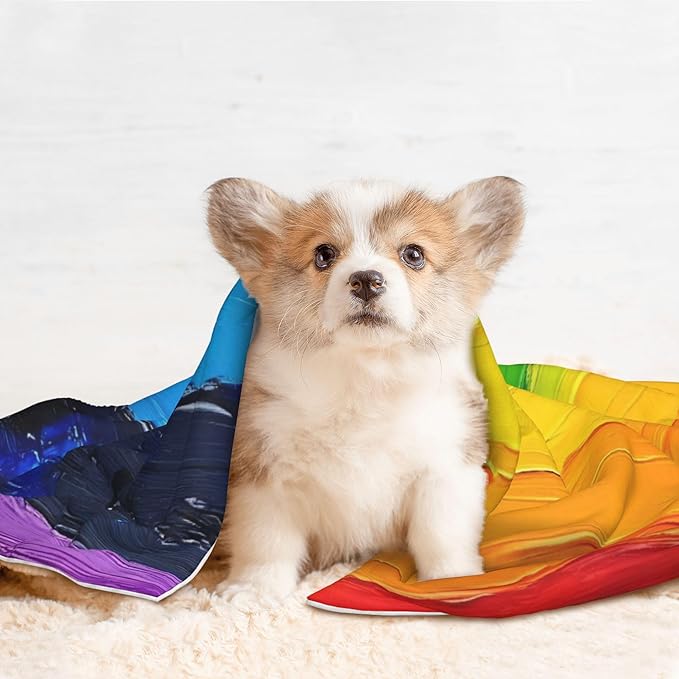 Waterproof Dog Blanket Soft Pet Blanket for Puppy Cat, Fleece Cat Throw Blankets for Furniture Bed Couch Sofa Reversible - Rainbow Colored