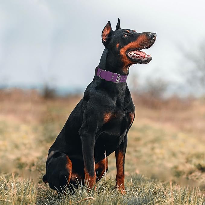 Tactical Dog Collar Military Adjustable Dog Collars Soft Nylon Training Collar with Patch Heavy Duty Metal Buckle Collars for Medium Large Dogs (Violet, XL)