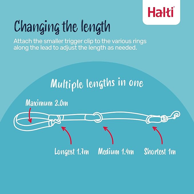Halti Headcollar Size 5, Black & Halti Training Leash Size Large, Black Combination Pack - Stop Your Dog Pulling on the Leash. Adjustable, Lightweight with Padded Nose Band. Suitable for Large Dogs
