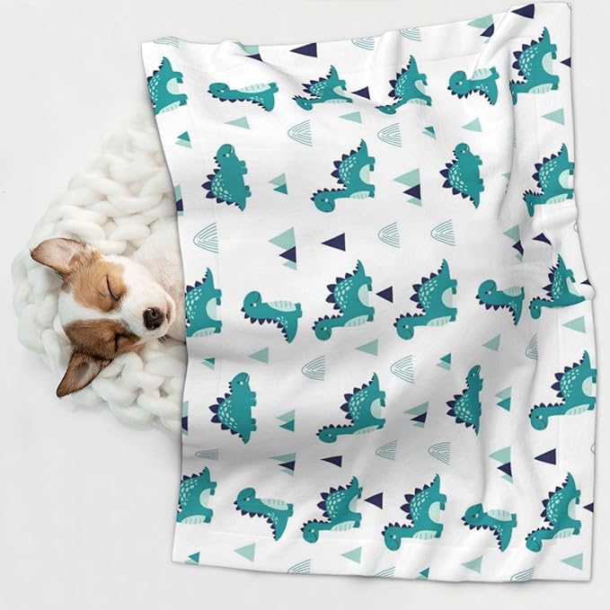 Pet Blanket for Couches and Beds, Funny Dinosaur Green, Reversible Double Sided Plush Design with Soft Bumpy Texture and Smooth Surface, Furniture Protector