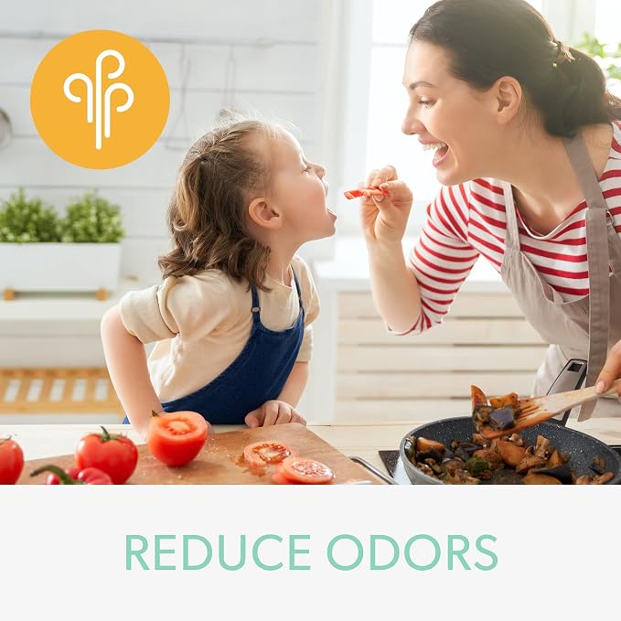 TruSens DuPont Odor & VOC Filter