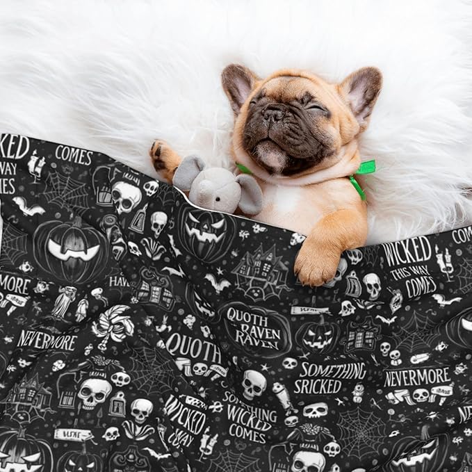 Reversible Plush Dot Pet Blanket, Halloween Witchcraft Witch Pumpkin Spider Web Bat Raven Magic Board Spirit Skull Skeleton Vintage Black, Ultra Soft Two Sided Throw for Dogs Cats Home Use Comfort