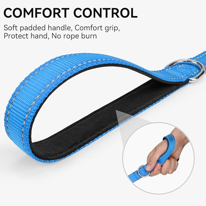 Joytale Dog Leash, 5 FT Double-Sided Reflective, Padded Handle Nylon Heavy Duty Leashes for Medium & Large Dogs Walking, Sky Blue