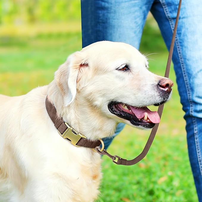 Genuine Leather Dog Collar - Adjustable Pet Collar with Quick Release Metal Buckle, Soft Skin Friendly Real Leather Collar for Small, Medium, Large Dogs (Dark Brown Collar + Rope, S：Fit 8-16" Neck)