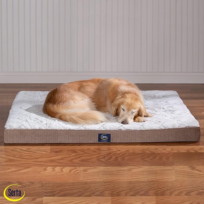 Serta Orthopedic Quilted Pillow Top Dog Bed for Pets – Chocolate Brown (X-Large)